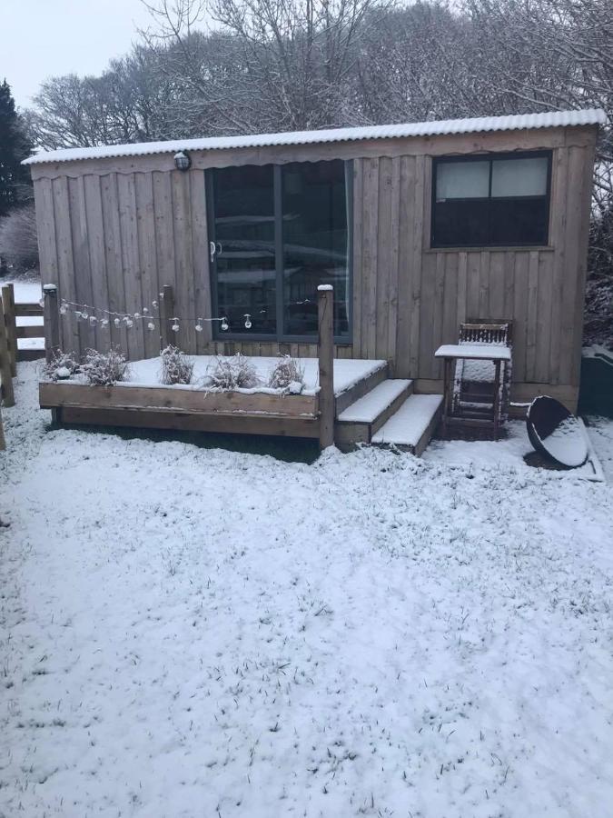 Cefn Crib Cabins 马汉莱斯 外观 照片
