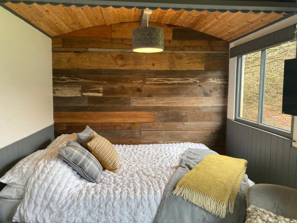 Cefn Crib Cabins 马汉莱斯 外观 照片