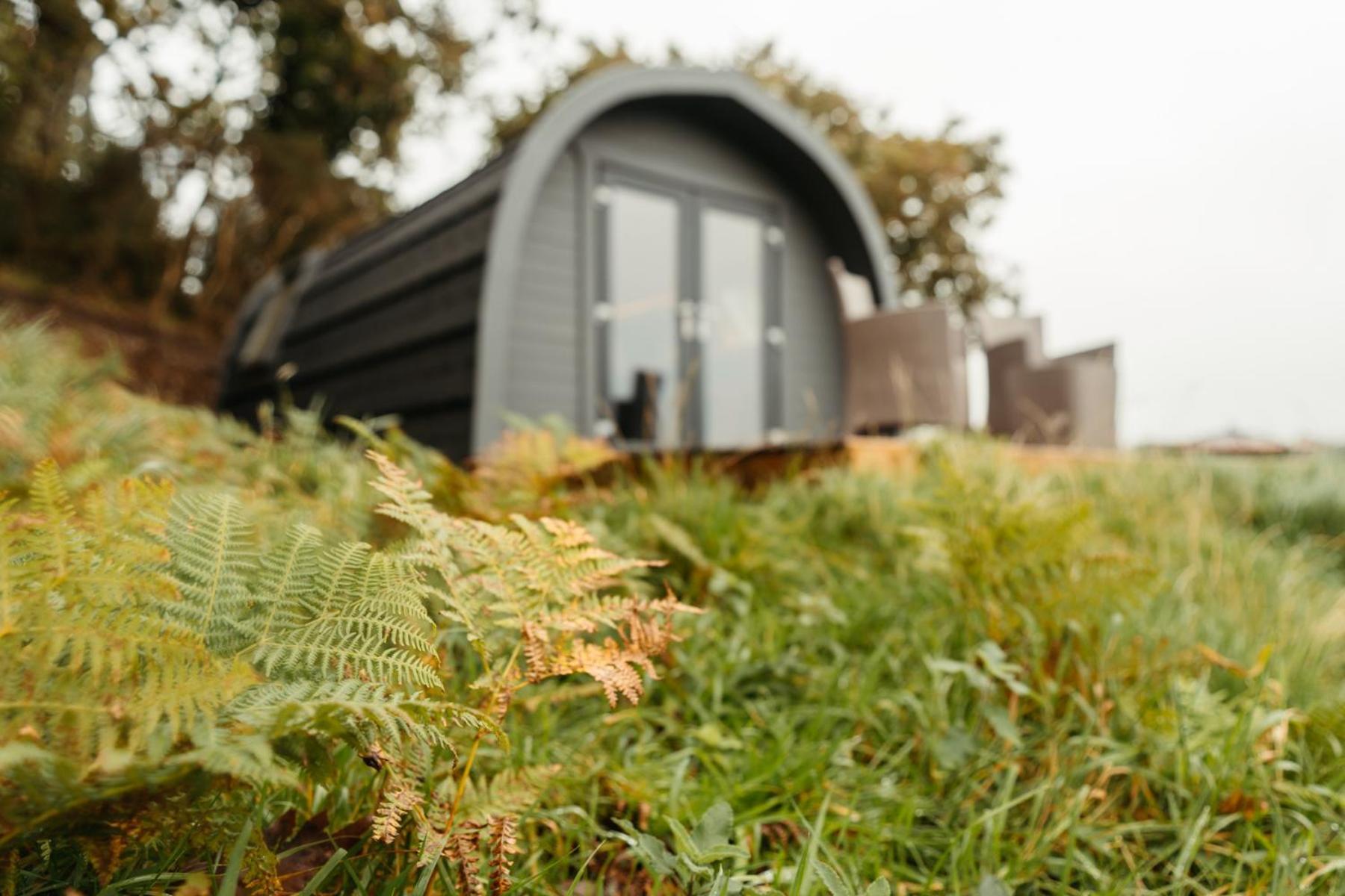 Cefn Crib Cabins 马汉莱斯 外观 照片